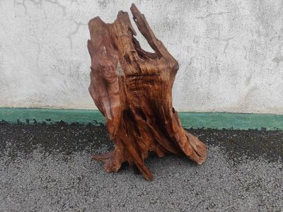 Piece of old drift wood