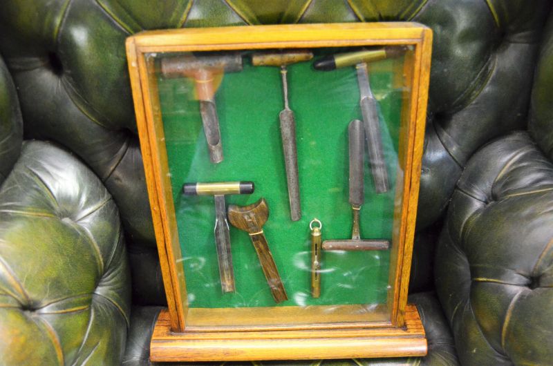 Oak glass cased collection of antique chesse scoops