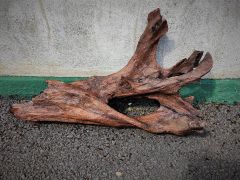 Old drift wood Thumbnail 1