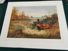 Two archibald thorburn game bird prints in folder Thumbnail 4