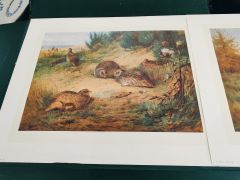Two archibald thorburn game bird prints in folder Thumbnail 3