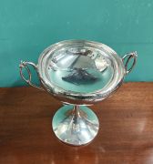 Silver trophy  Thumbnail 2